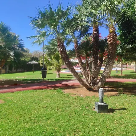 דירה Luz Del Mediterraneo דניה